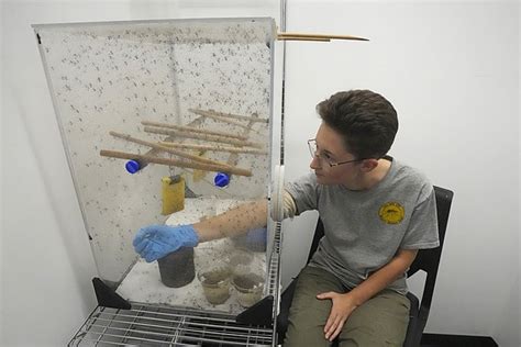 Let skeeters feed on you for science? Welcome to front lines of mosquito control